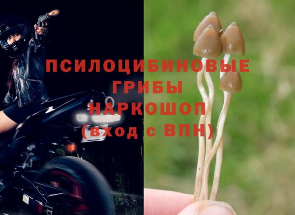 PSILOCYBIN Богородск