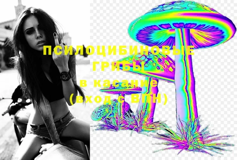 купить наркоту  Красноуфимск  Галлюциногенные грибы MAGIC MUSHROOMS 